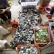 Illustration for article titled Chinas E-Waste Problem Poisons Children, Destroys Cities